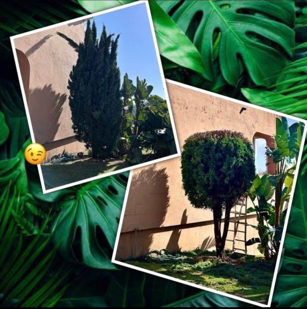 Imagen de WhatsApp 2025-09-17 a las 20.15.24_5e2800a2