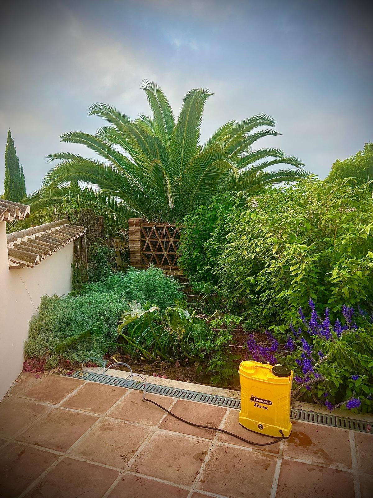 Jardín mediterráneo cuidado