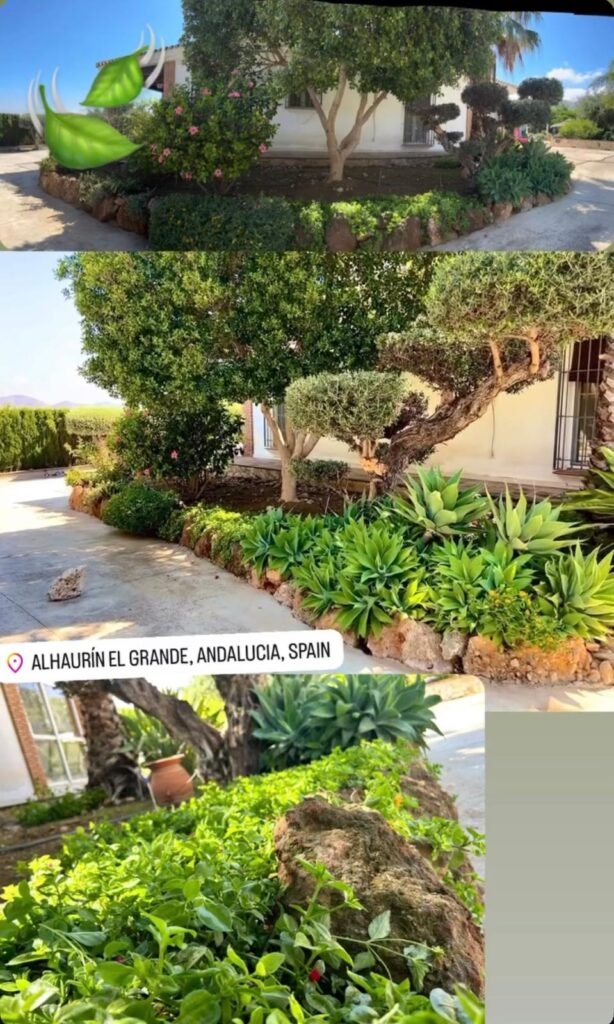 Imagen de WhatsApp 2025-09-18 a las 15.39.10_3c0435c5