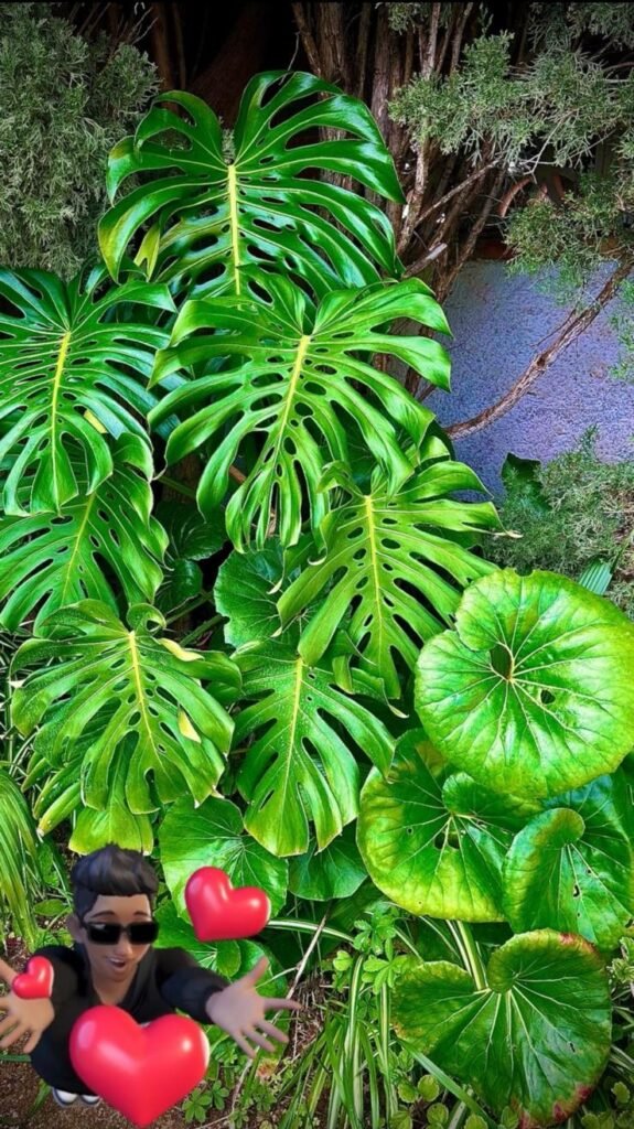 Imagen de WhatsApp 2025-09-18 a las 15.39.10_8fe228c9