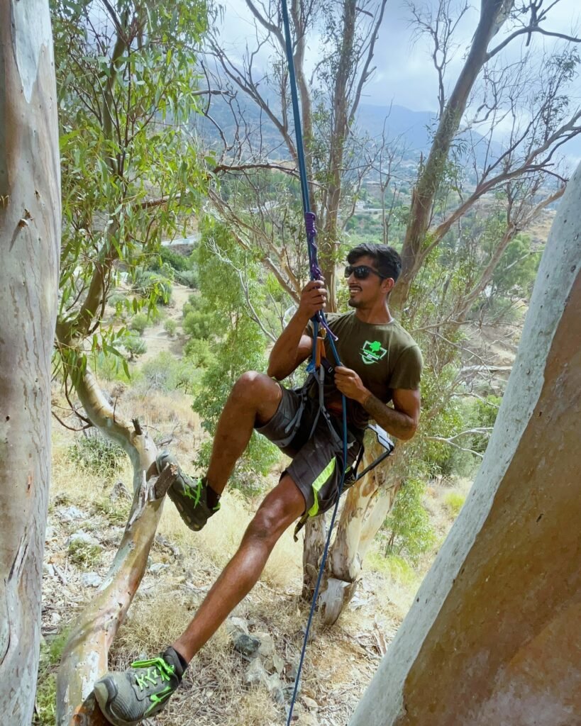 Poda de árboles en Marbella