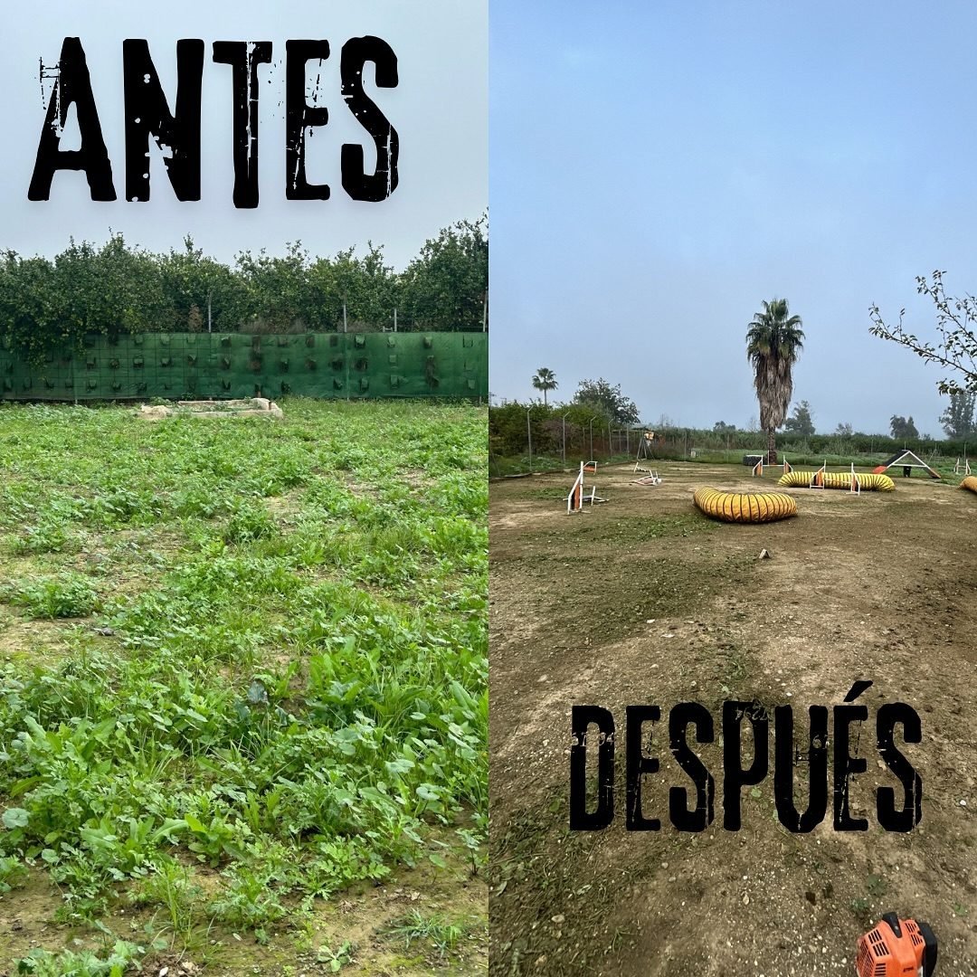Comparación antes y después de la limpieza de un terreno
