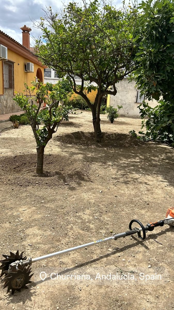 Desbroce con desbrozadora en un jardín con árboles