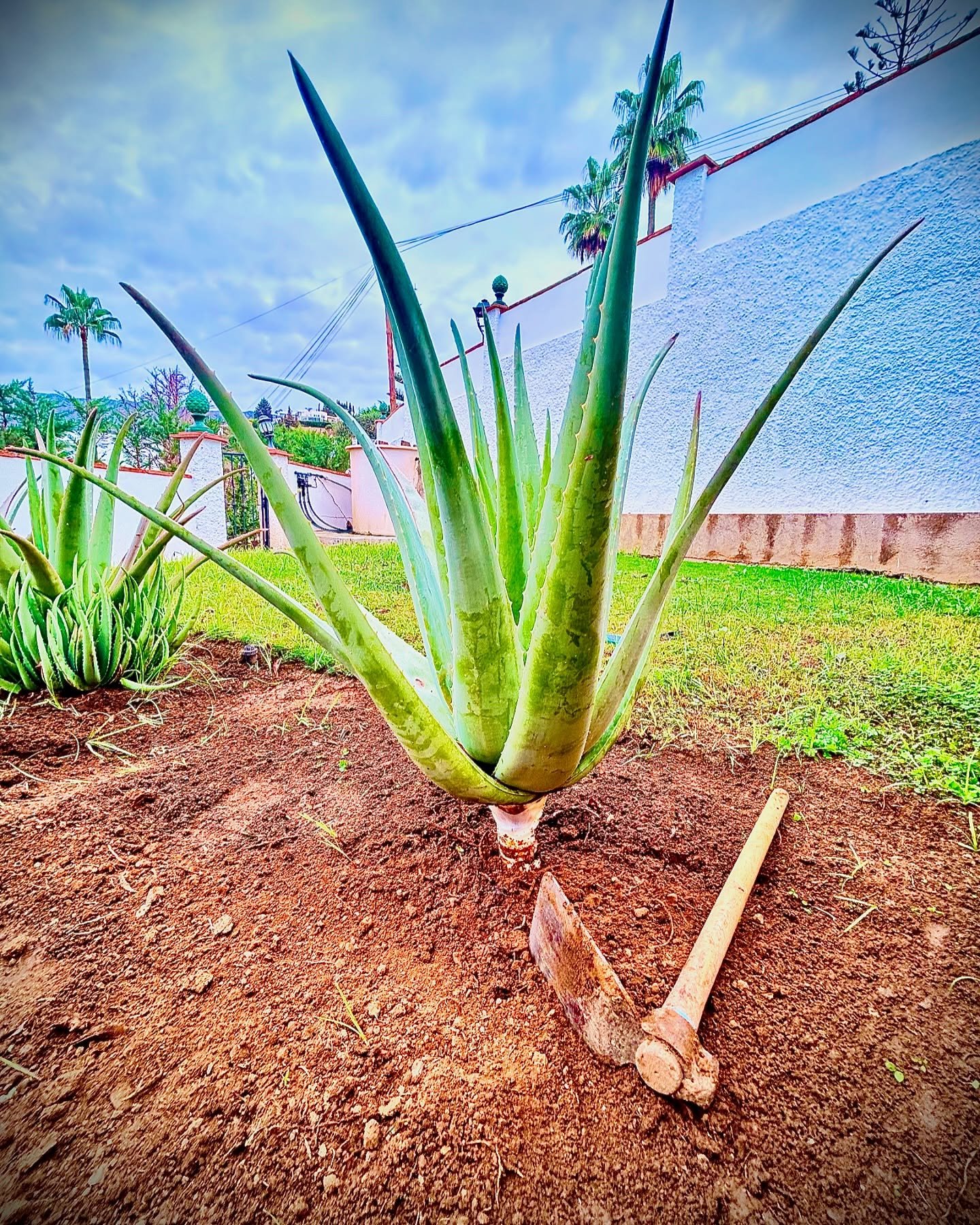 Mantenimiento periódico – The Garden Boy
