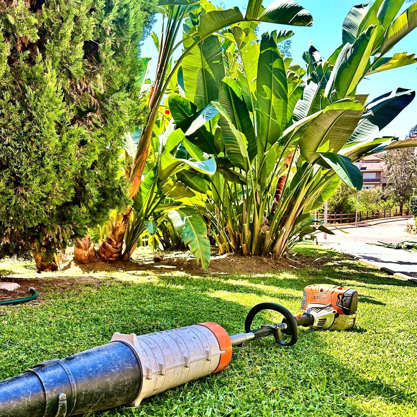 Herramientas de jardinería en el césped