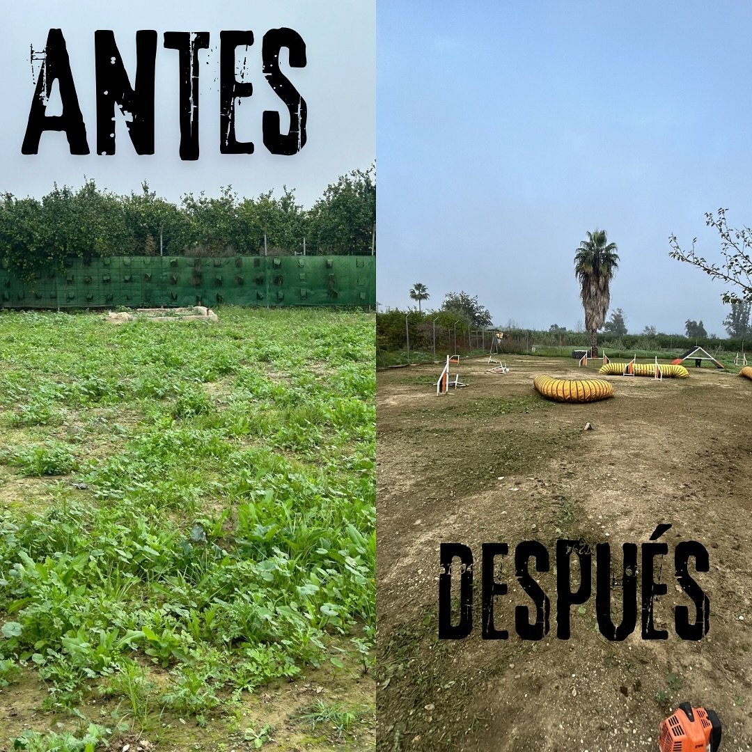 Antes y después de una limpieza y desbroce de terreno
