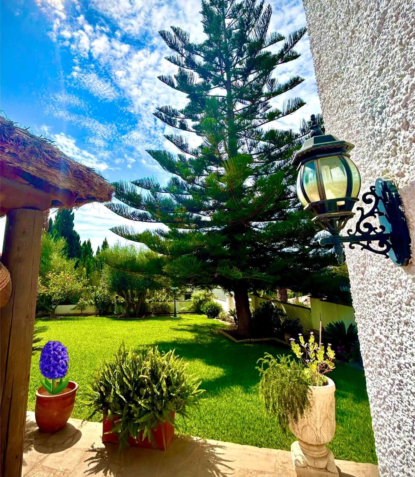 Césped cortado y bordes perfilados en un jardín de villa – mantenimiento The Garden Boy