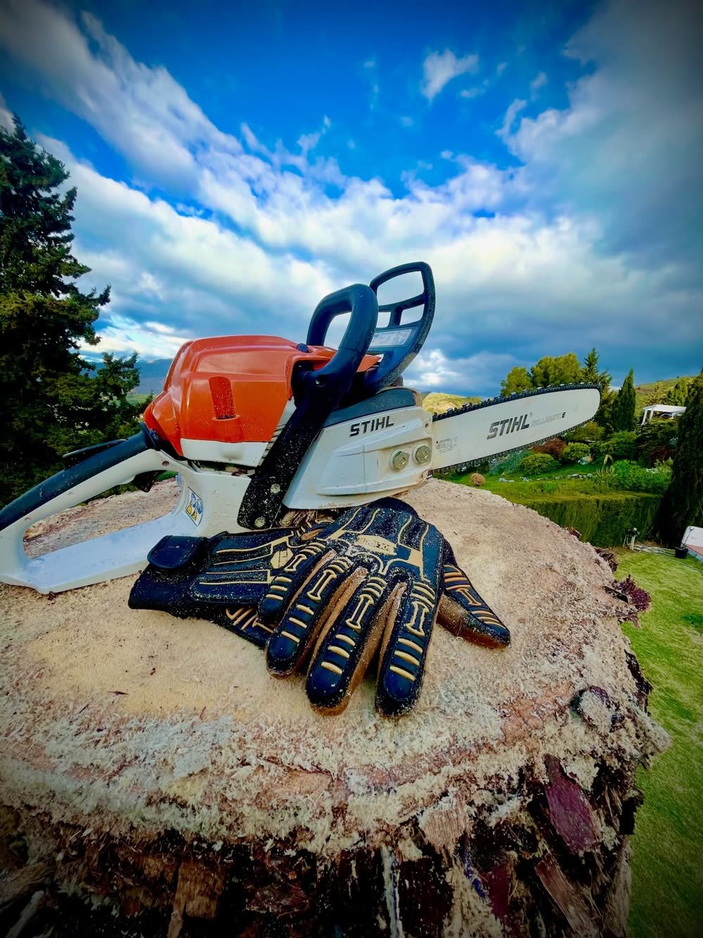 Motosierra y guantes de protección sobre el tocón de una palmera