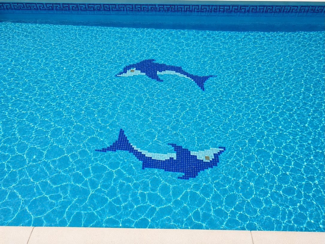 Detalle del mosaico de delfines en el fondo de una piscina de agua clara