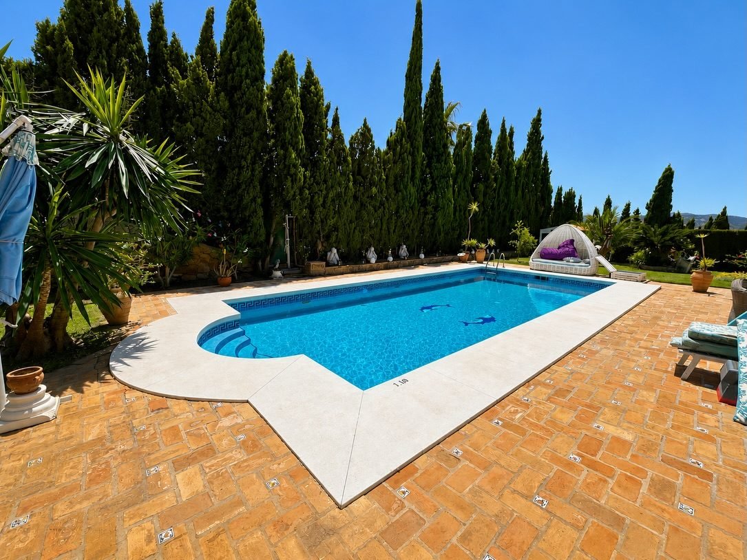 Piscina con solárium, zona de descanso, palmeras y cipreses
