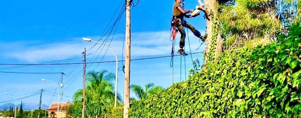 Trabajador podando un árbol en altura con cuerdas junto a un seto de hiedra en la Costa del Sol